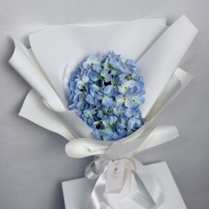 Blue Eternity