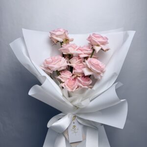 Blush Elegance